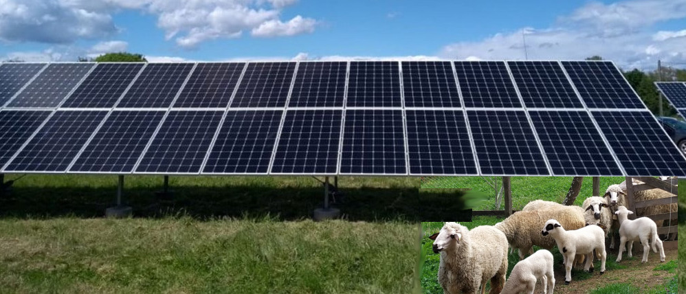 Read more about the article Land lease for solar farm